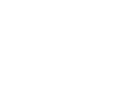 Lone Tree Junk